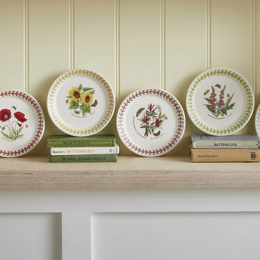 Botanic Garden Meadow Bread Plate Set of 6